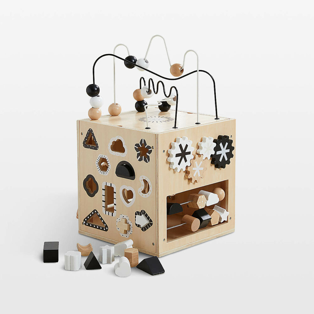 Wonder and Wise Activity Baby Push Walker - Görsel 3