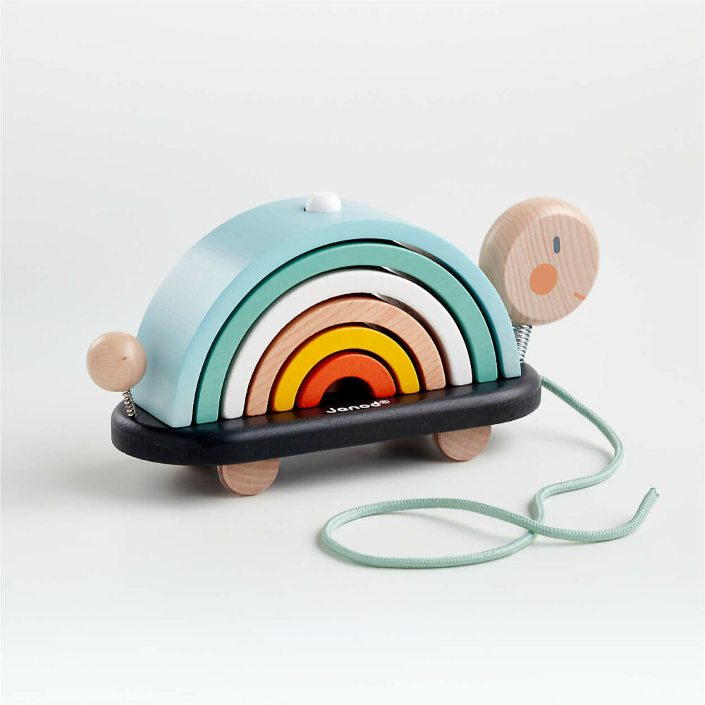 Wonder and Wise Activity Baby Push Walker - Görsel 5